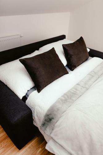 Luxury Apartments Zelny TRH