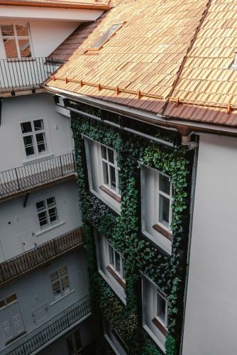 Luxury Apartments Zelny TRH