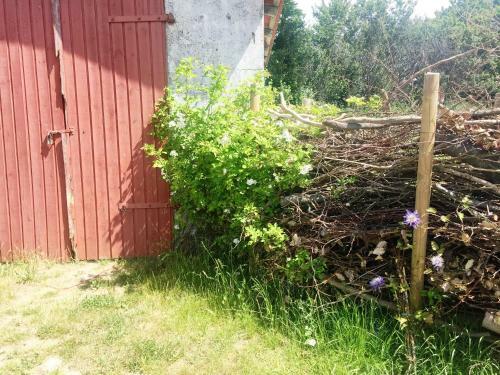 Hostal Cam�nogaarden