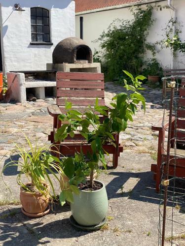 Hostal Cam�nogaarden