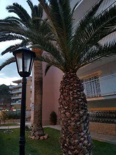 Apartamento Excepcional,piscina Y 100m De La Playa