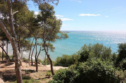 Apartamento Saloutrip - Navili