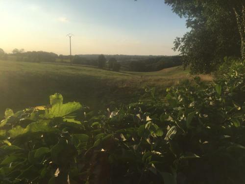 Bed & Breakfast Aux Pieds Des Vaches