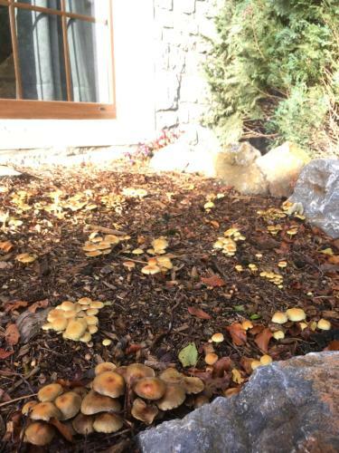 Chard'heureux Sauna En Spa