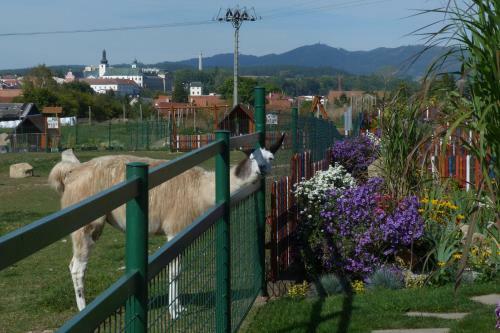 Agroturismo Farma Wenet