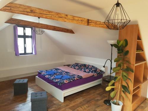 Apartmany 123