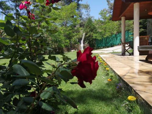 Villa Efrosyni By Agroholidays