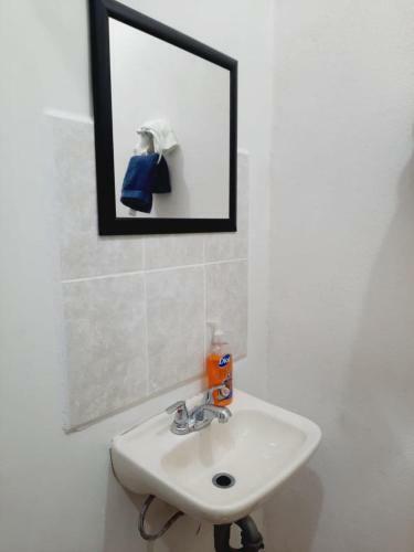 Apartamento Terra Viva Villa Campestre
