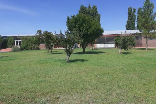 Apartamento Confortable Departamento En Rancho R�stico
