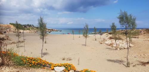 Apartamento Acropolis Penthouse Protaras