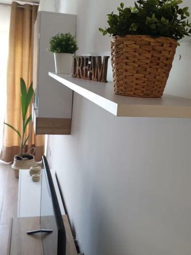 Maxx Apartamento
