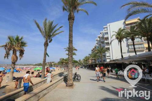 Apartamento Alexandria Beach