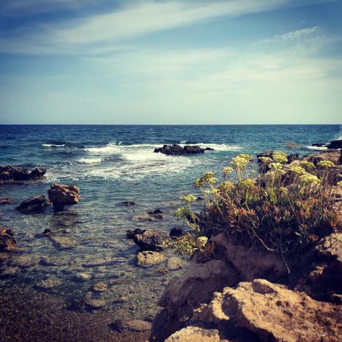 Phaedrus Living: Seaside Luxury Villa Anafi