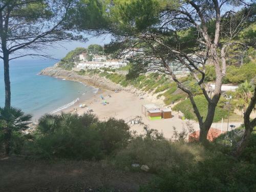 Apartamento Ol� Ol�