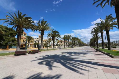Apartamento Saloutrip - Albert