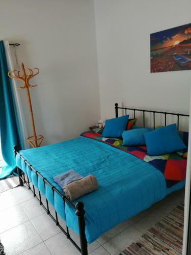 Pool And Garden Home