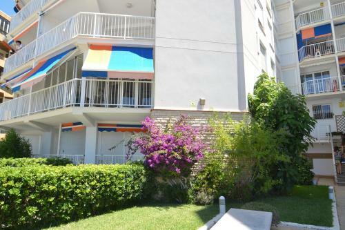 Apartamento Wvp Bello Horizonte