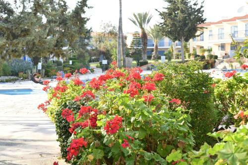 Apartamento Paradise Gardens Mediterranean Home