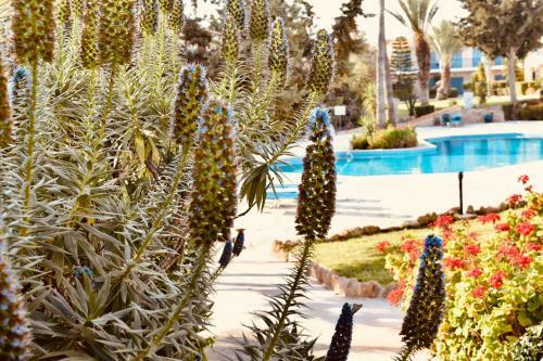 Apartamento Paradise Gardens Mediterranean Home