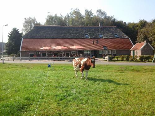 Vakantieboerderij B&B De Luttikhoeve