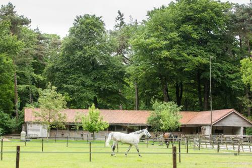 Relais & Chateaux Hotel Landgoed Het Roode Koper
