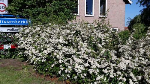 Bed & Breakfast Countryhouse De Vlasschure