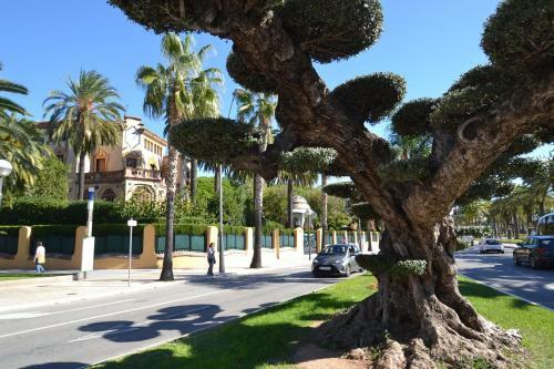 Apartamento Wvp Riviera Park J