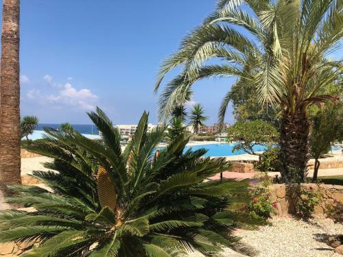 Modern, Pool-side 2 Bedroomed Apartment