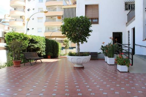 Apartamento Brussel�les, Centro Salou, Playa