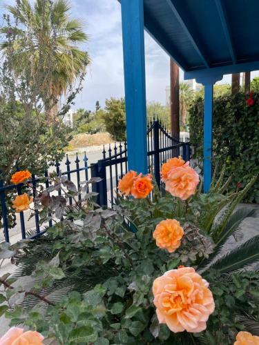 Apartamento Amorgos Gardens