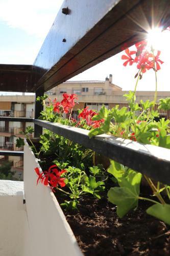 Apartamento Formentor -centro Salou-