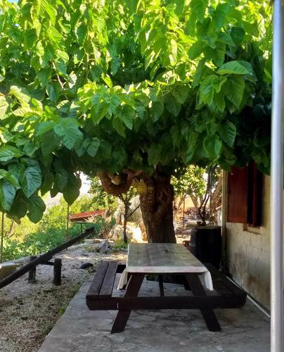 Xanthippi Cottage