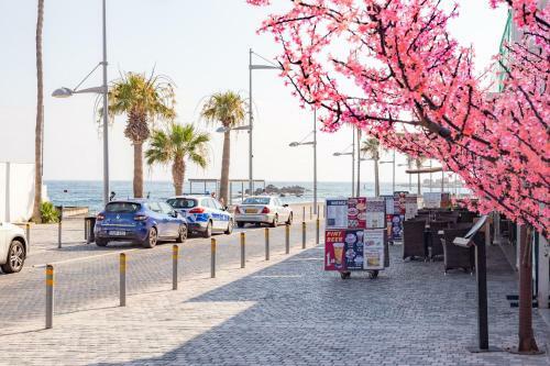 Apartamento Light House - Seafront Cosy Studio With Library
