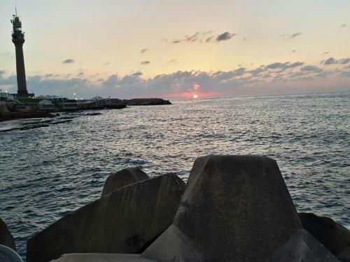Apartamento Margeland