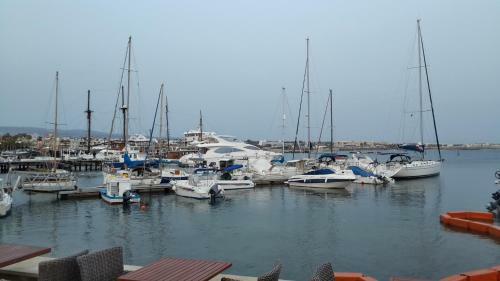 Apartamento Margeland