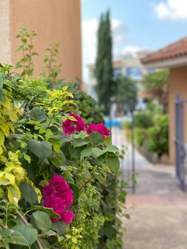 Apartamento Paradise Gardens With A Large Terrace