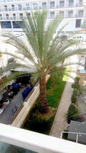 Apartamento Alaska Acogedor Y A 100metros de La Playa