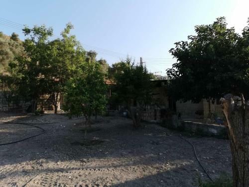 Agroturismo Romanos House