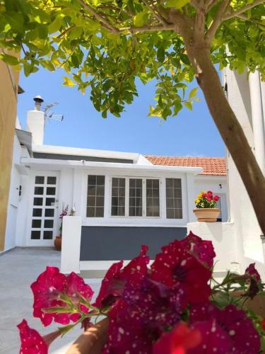 Apartamento Katsikantaris Homes
