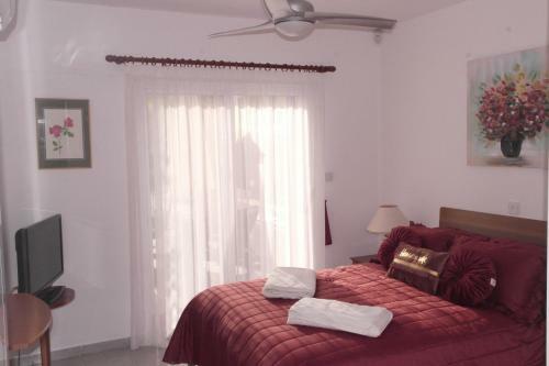 Maya's Apartment