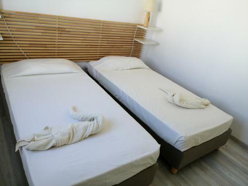 Cozy Seaview Apartment