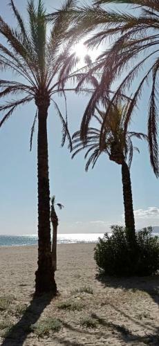 Apartamento Village Park Iberplaya
