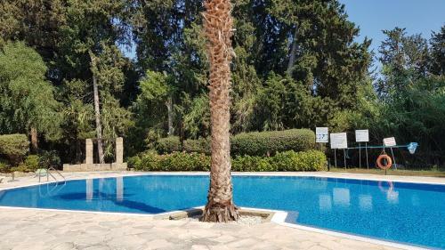 Paradise Gardens IV 2 Bd Amazing Apartment