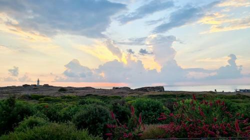 Phaedrus Living: Seaview Luxury Villa Venus