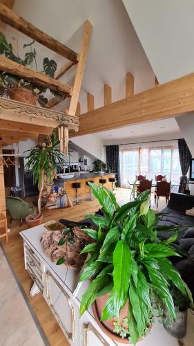 Apartamento Adlerhorst