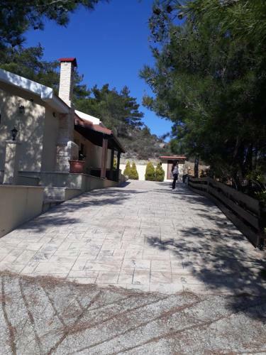 Villa Maria's Forest House