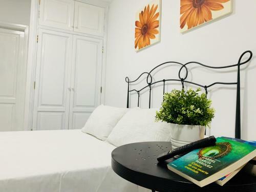 Apartamentos Mora 2�a
