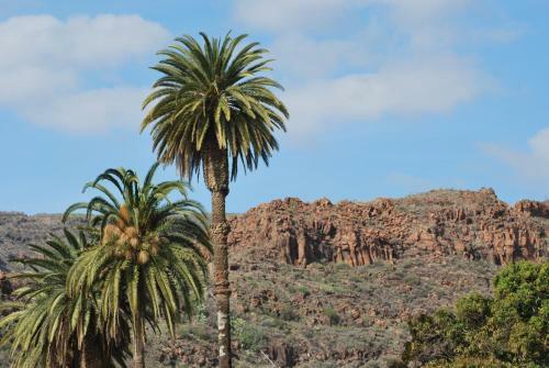Apartamento Los Frailes I
