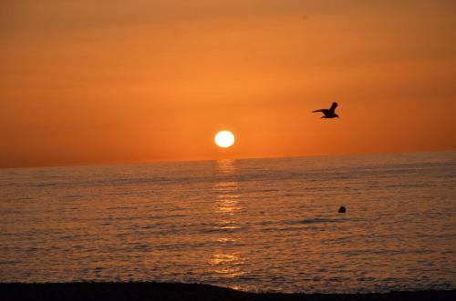 Apartamento Los Frailes I