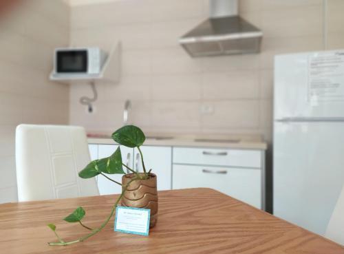 Apartamentos La Villa 4